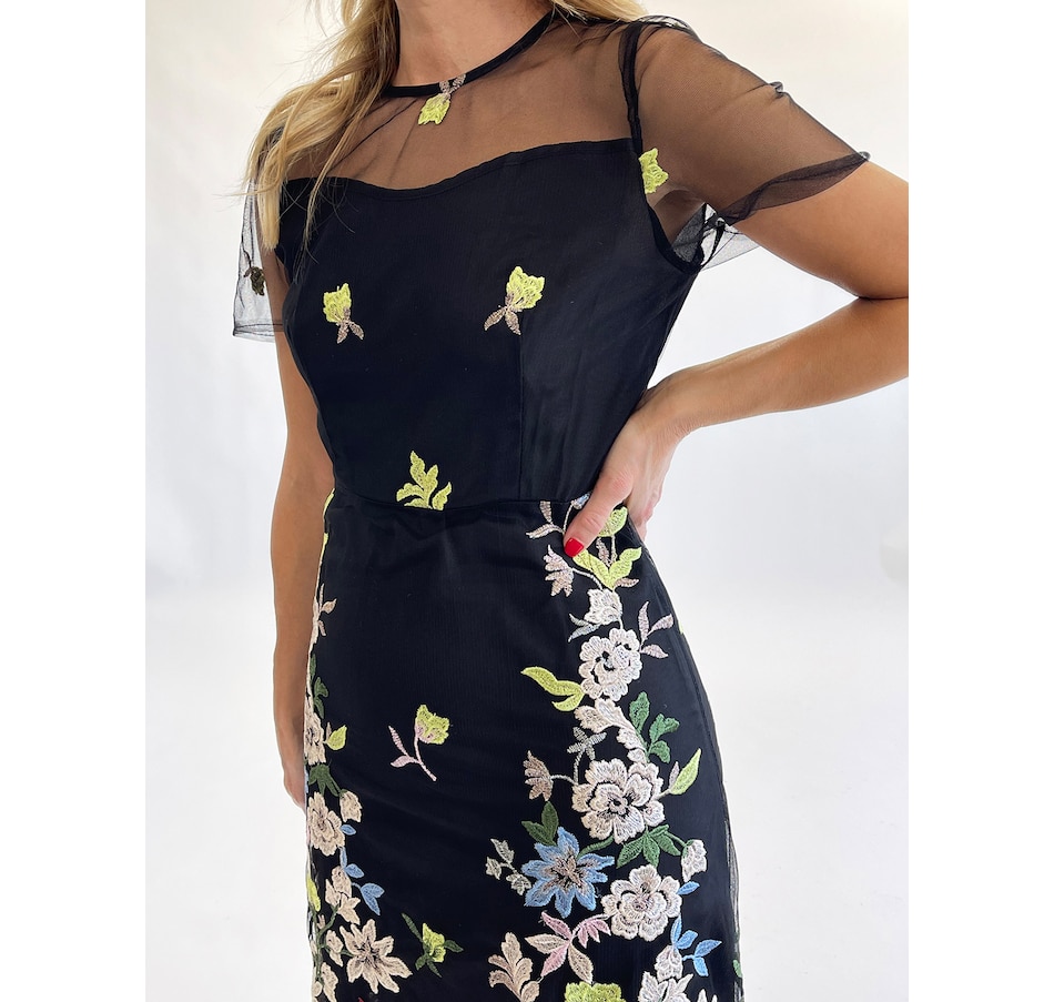 Image 222747_ALTMORE2.jpg, Product 222-747 / Price $117.33, Katherine Karambelas Floreanne Floral Mesh Dress from Katherine Karambelas on TSC.ca's Fashion department