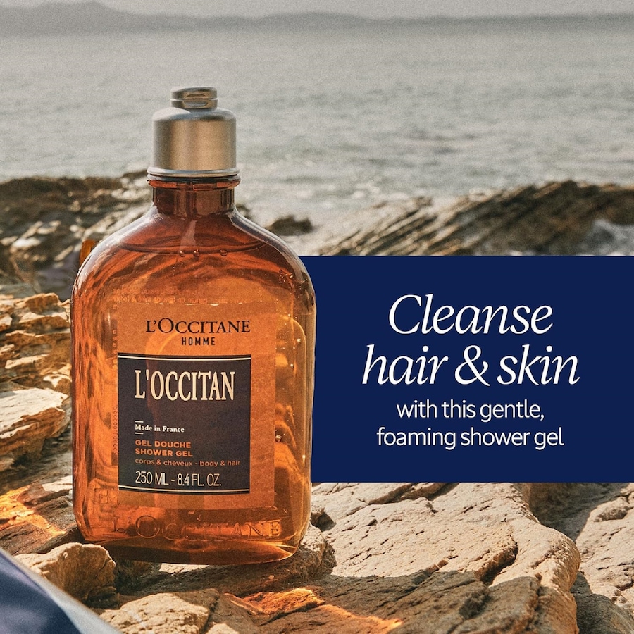 Image 223228_ALTMORE1.jpg, Product 223-228 / Price $31.00, L'Occitane Baux Shower Gel from L'Occitane on TSC.ca's Beauty department