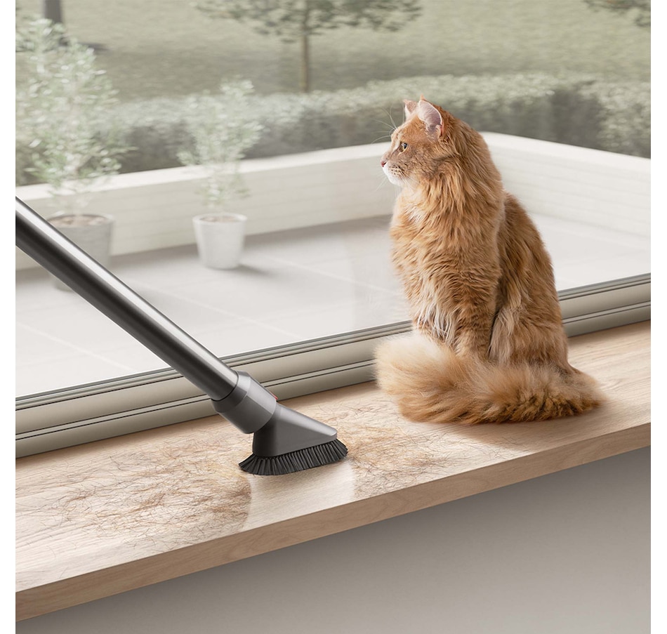 Image 223408_ALTMORE7.jpg, Product 223-408 / Price $749.99, Dyson V10 Animal+ from Dyson on TSC.ca's Home & Garden department