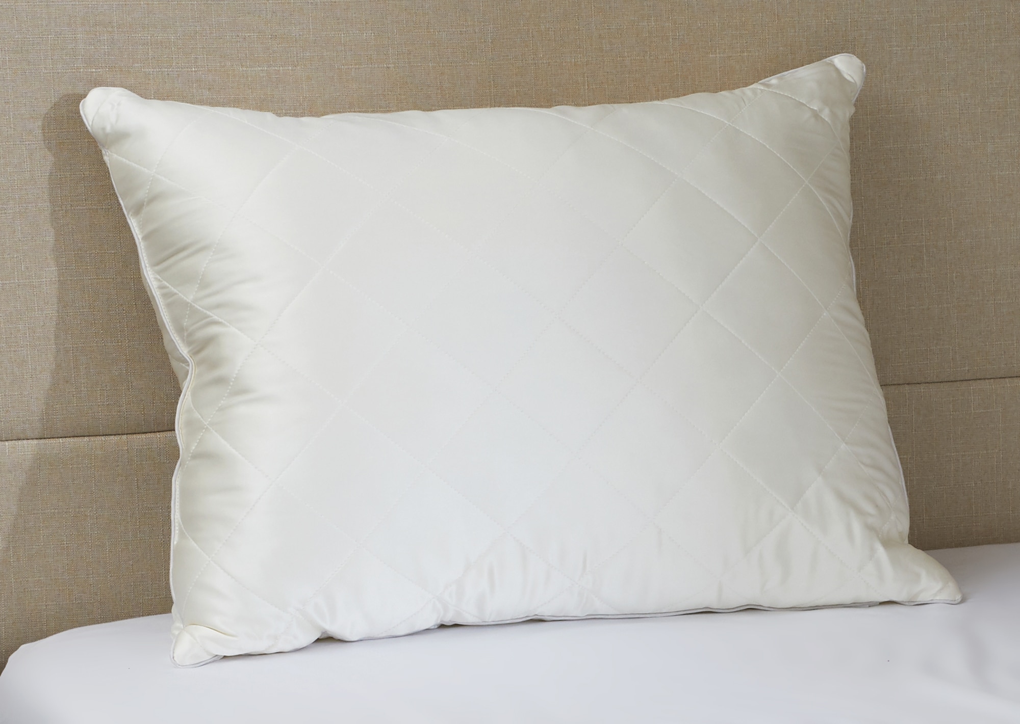 Tsc discount my pillow