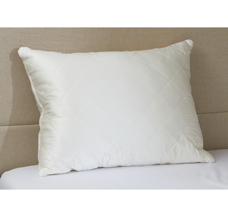 Home & Garden - Bedding & Bath - Pillows, Cushions & Shams - Pillows ...