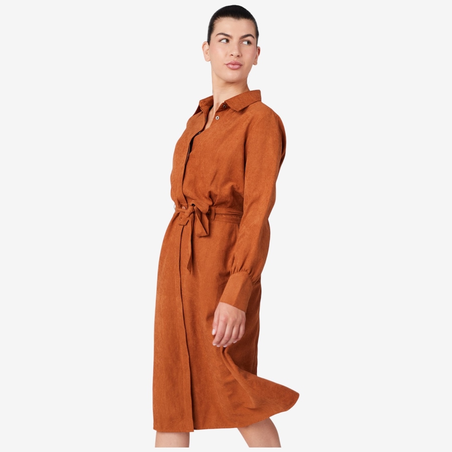 Image 229720_ALTMORE2.jpg, Product 229-720 / Price $34.33, claudia ev Long Sleeve Shirt Dress from claudia ev on TSC.ca's Fashion department