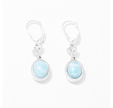 Himalayan Gems Sterling Silver Gemstone Earrings