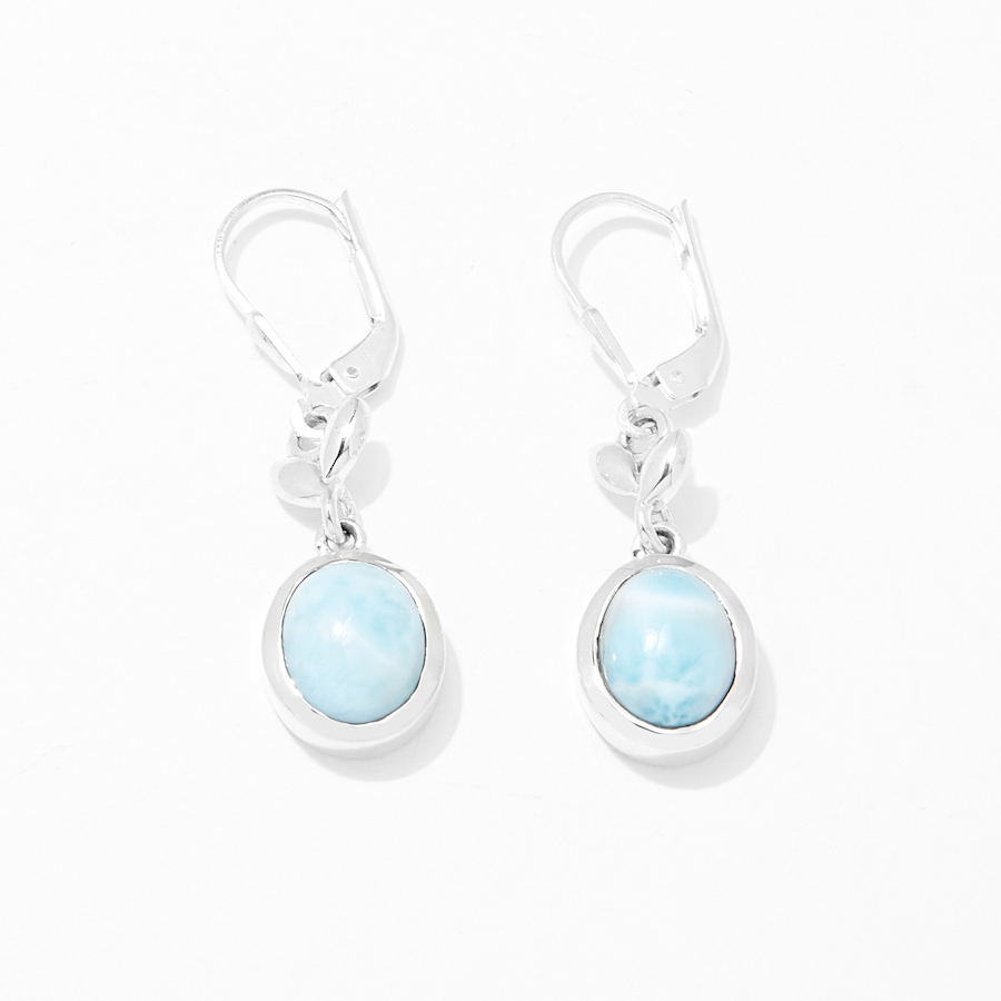 Image 233750_LARI.jpg, Product 233-750 / Price $99.88, Himalayan Gems Sterling Silver Gemstone Earrings from Himalayan Gems on TSC.ca's Jewellery department