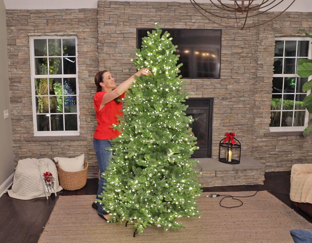 Home & Garden - Décor - Seasonal - Holiday Decor - Trees, Wreaths 