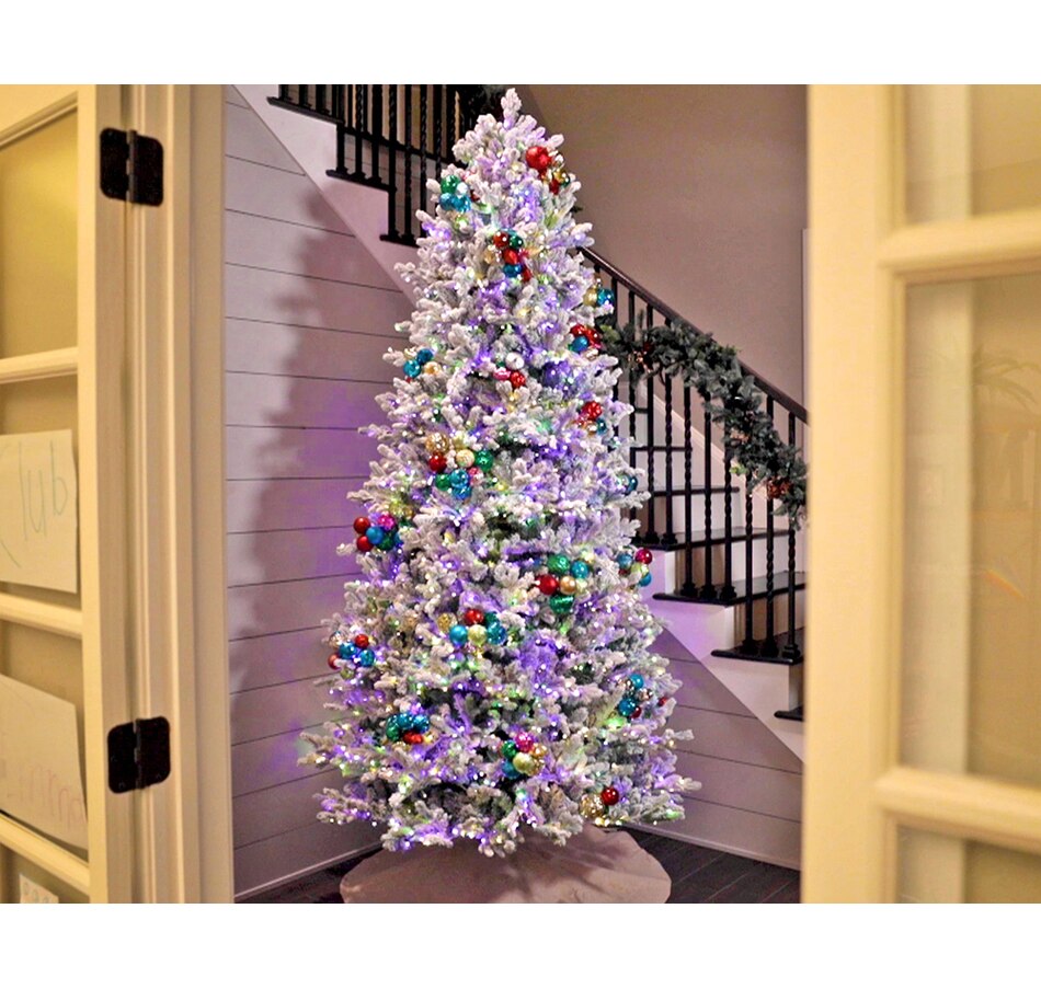 Image 237503.jpg, Product 237-503 / Price $429.99 - $1,299.99, Holiday Memories Snow-Dusted Fir Christmas Tree with LED Lights and Remote from Holiday Memories on TSC.ca's Home & Garden department