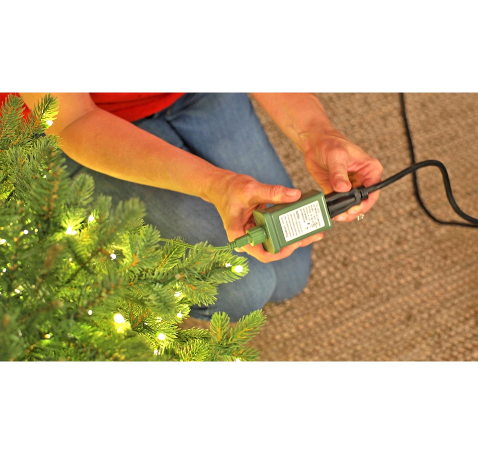 Image 237503_ALTMORE4.jpg, Product 237-503 / Price $429.99 - $1,299.99, Holiday Memories Snow-Dusted Fir Christmas Tree with LED Lights and Remote from Holiday Memories on TSC.ca's Home & Garden department