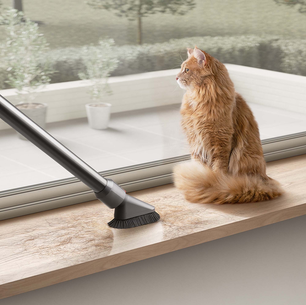 Dyson V10 Animal+ Bundle - TSC.ca