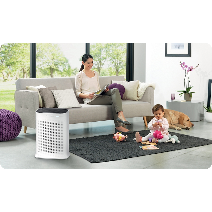Image 237663_ALTMORE6.jpg, Product 237-663 / Price $244.88, Rowenta PA Purifier Pure Air Essential from Rowenta on TSC.ca's Home & Garden department