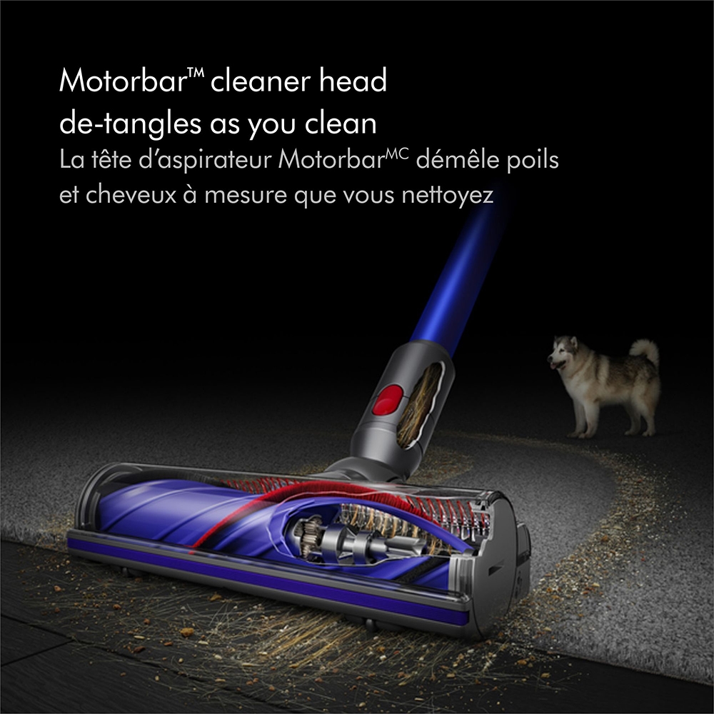 Dyson V11 Cordless Vacuum - TSC.ca