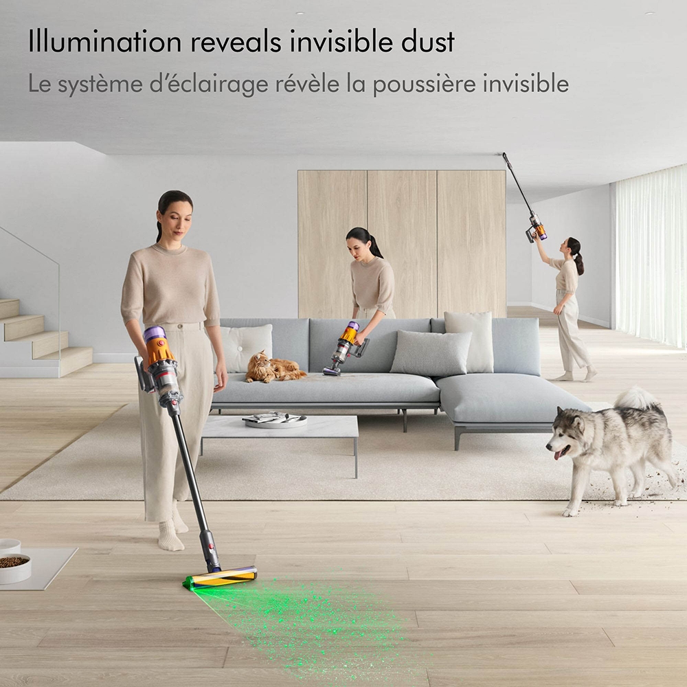 Dyson V12 Detect Slim - TSC.ca