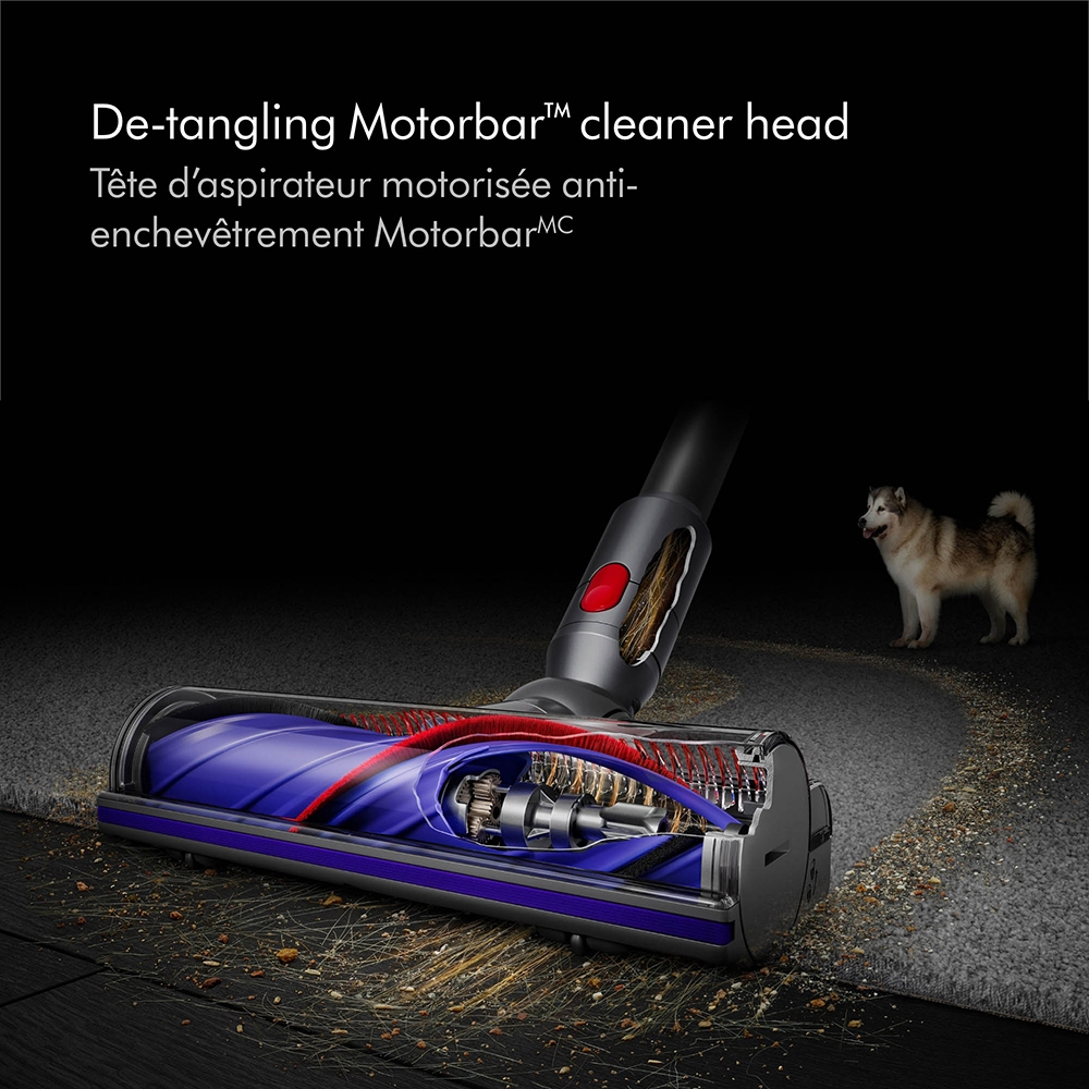 Dyson V12 Detect Slim - TSC.ca