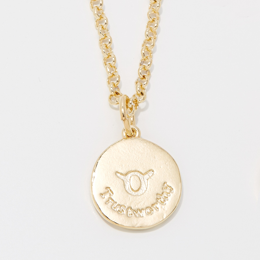 Image 249936_ALTMORE1.jpg, Product 249-936 / Price $89.99, Bronzoro 18K Yellow Gold Plate Zodiac Pendant On Baby Rolo Chain from Bronzoro on TSC.ca's Jewellery department