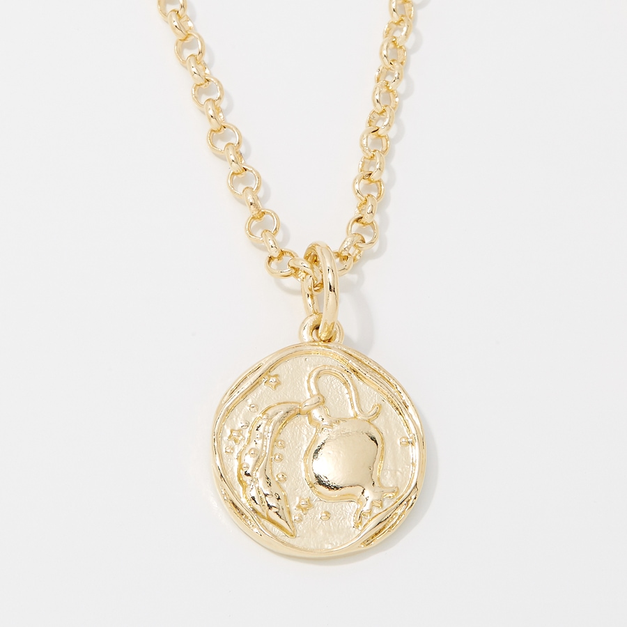 Image 249936_AQR.jpg, Product 249-936 / Price $89.99, Bronzoro 18K Yellow Gold Plate Zodiac Pendant On Baby Rolo Chain from Bronzoro on TSC.ca's Jewellery department