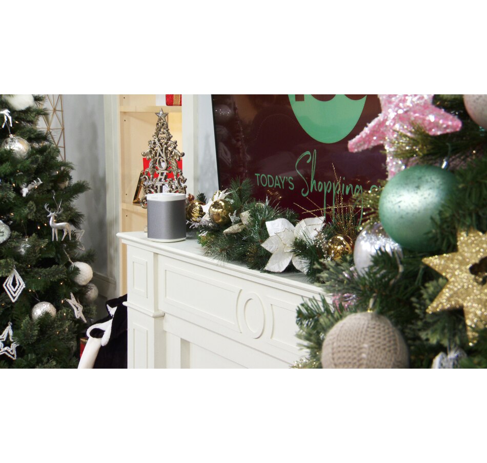 Image 250916_ALTMORE14.jpg, Product 250-916 / Price $199.99 - $399.99, Sonos PLAY:1 Compact Wireless Speaker on TSC.ca's department