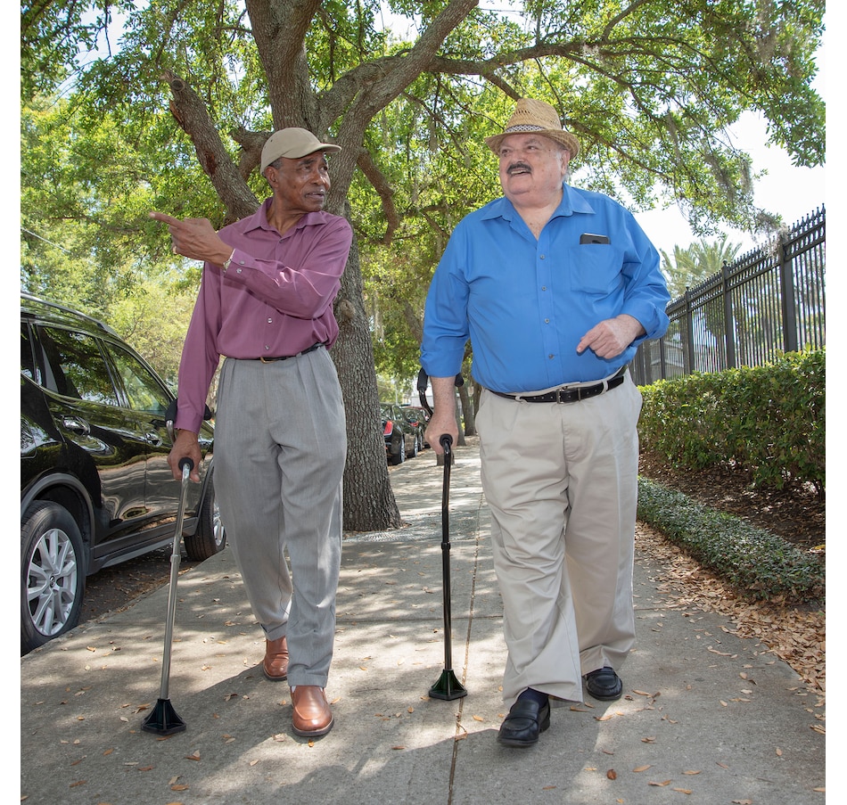 Image 253161_ALTMORE19.jpg, Product 253-161 / Price $89.99, StrongArm Comfort Cane Self Standing from StrongArm on TSC.ca's Health & Fitness department