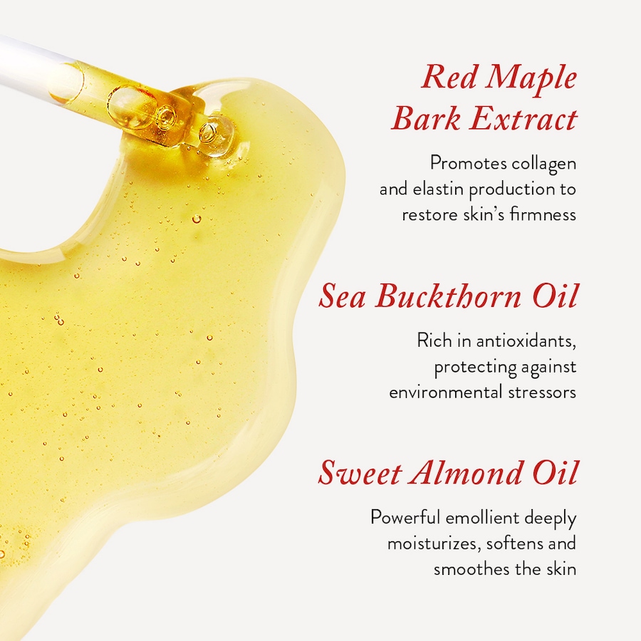 Image 267970_ALTMORE7.jpg, Product 267-970 / Price $75.00, Cela Northern Face Oil from CELA on TSC.ca's Beauty department