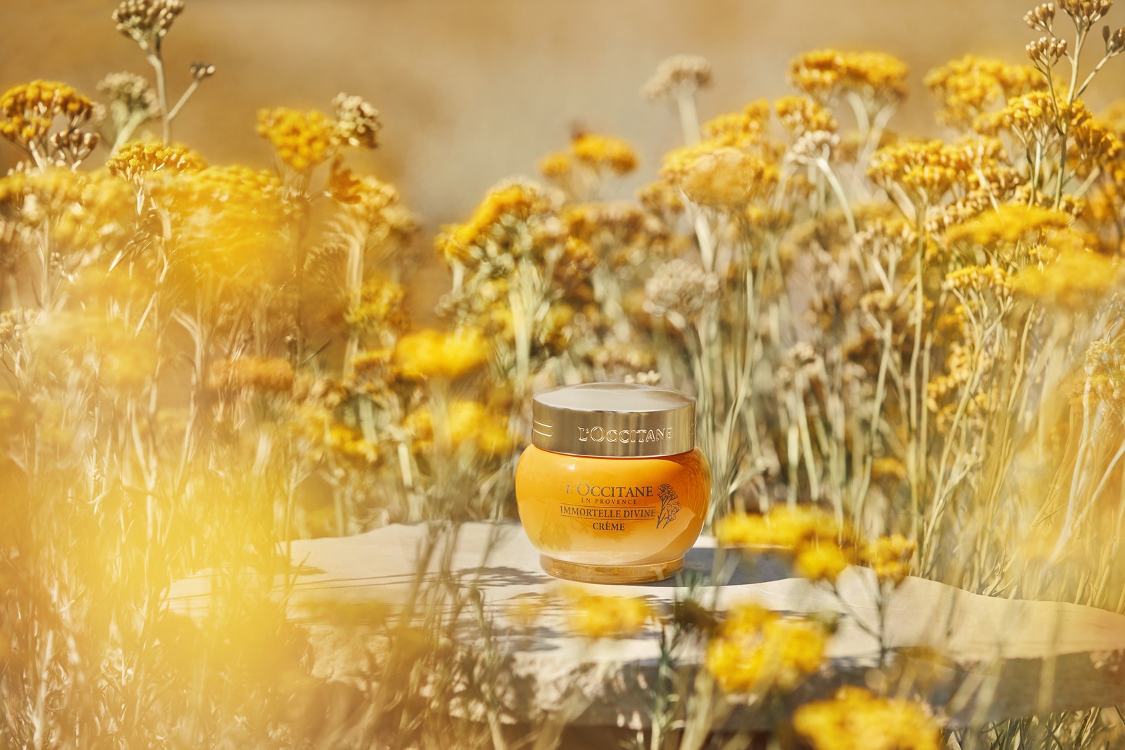 L'Occitane Immortelle Divine Cream Set - TSC.ca