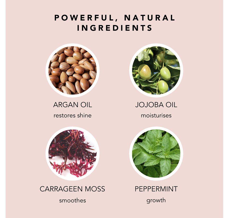 Image 349250_ALTMORE2.jpg, Product 349-250 / Price $35.00, We Are Paradoxx Moisture Conditioner from WE ARE PARADOXX on TSC.ca's Beauty department