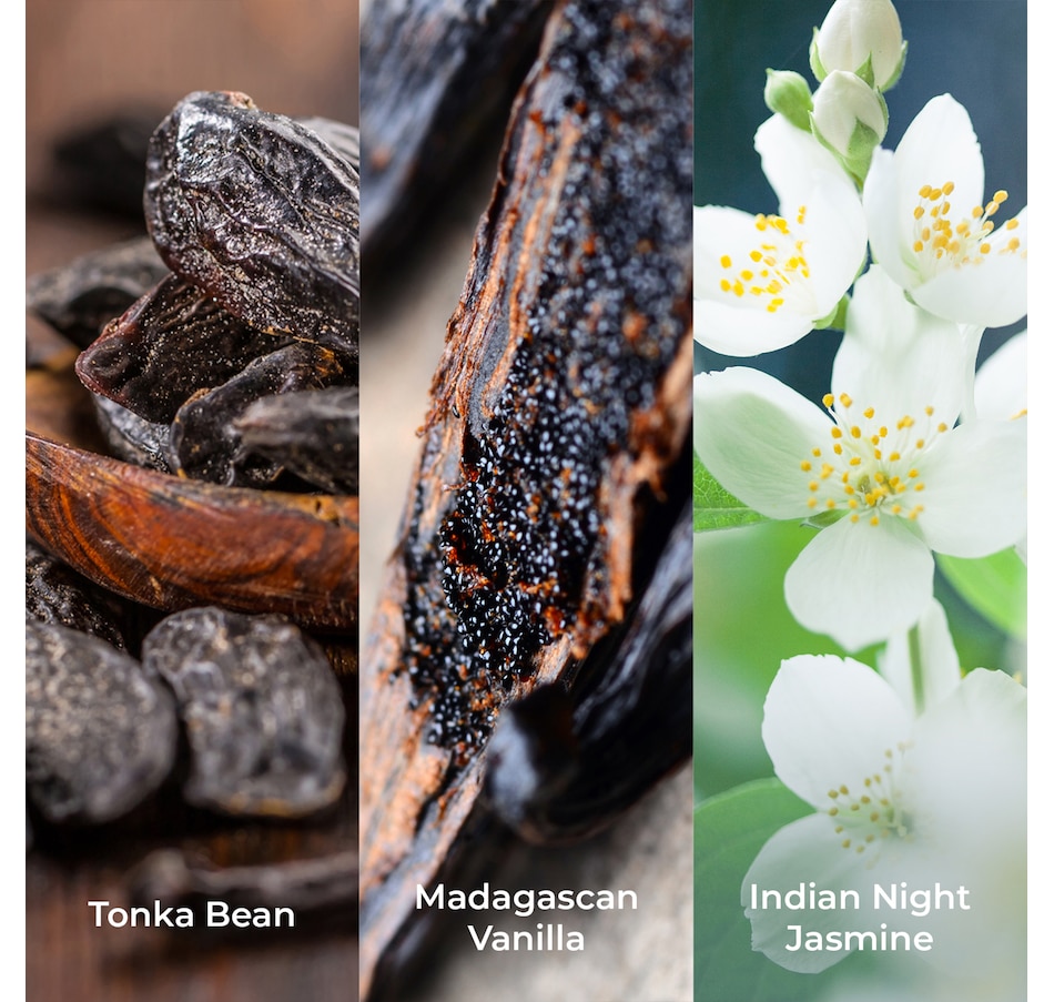 Image 371219_ALTMORE1.jpg, Product 371-219 / Price $406.00, Elemis Complete Face & Body Collection from Elemis on TSC.ca's Beauty department