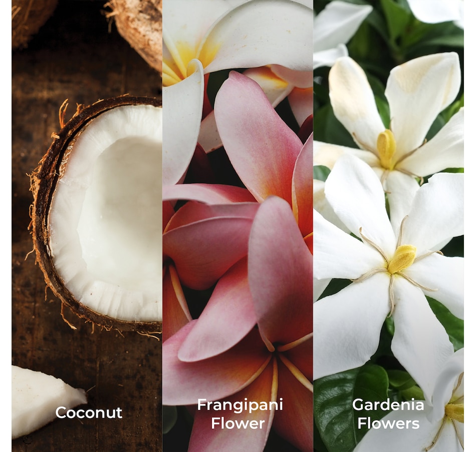 Image 371219_ALTMORE2.jpg, Product 371-219 / Price $406.00, Elemis Complete Face & Body Collection from Elemis on TSC.ca's Beauty department