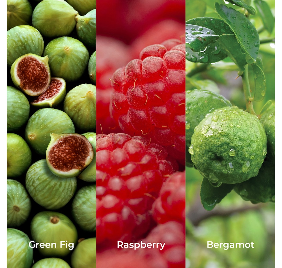 Image 371219_ALTMORE3.jpg, Product 371-219 / Price $406.00, Elemis Complete Face & Body Collection from Elemis on TSC.ca's Beauty department