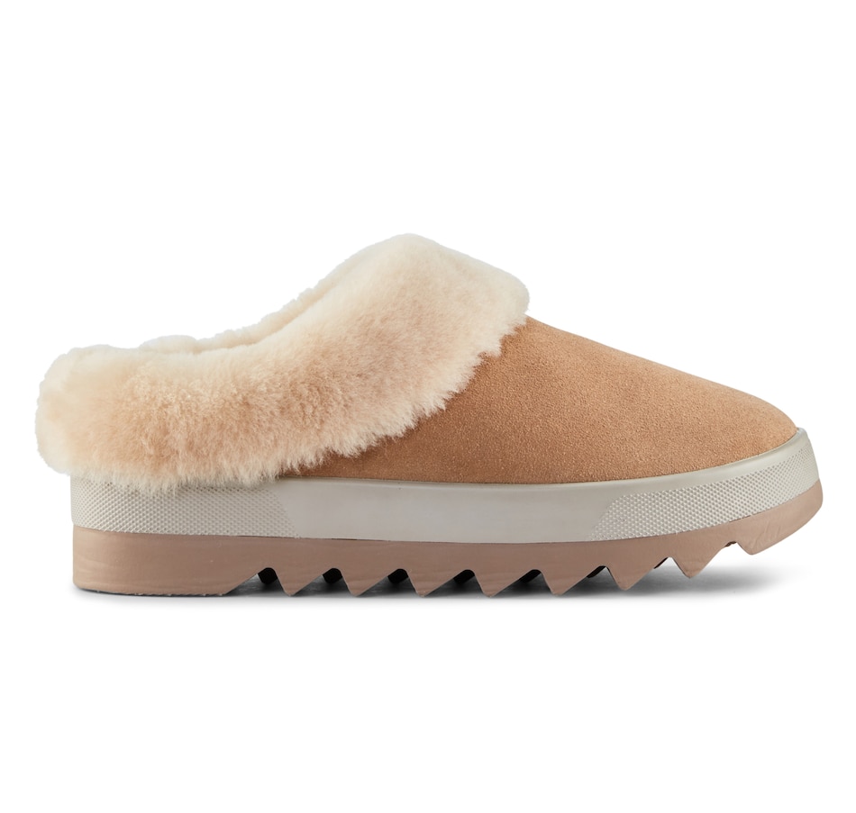 Clothing & Shoes - Shoes - Slippers - Cougar Pronya Slipper - Online ...