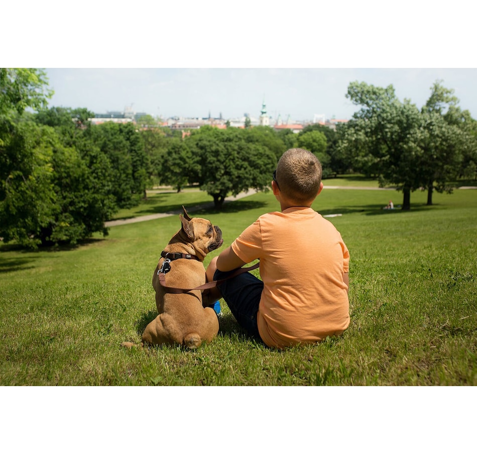 Image 425516_ALTMORE1.jpg, Product 425-516 / Price $49.99, Tickless Pet Ultrasonic Tick & Flea Repeller from Tickless on TSC.ca's Home & Garden department