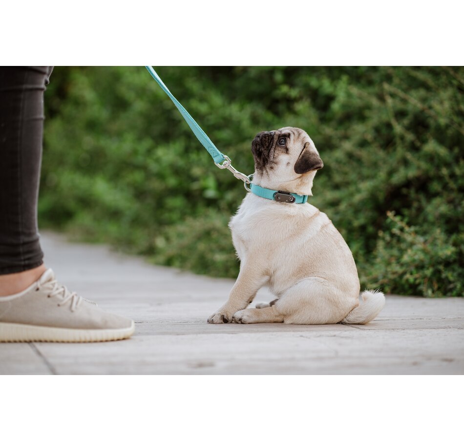 Image 425517_ALTMORE1.jpg, Product 425-517 / Price $79.99, Tickless Mini Rechargeable Ultrasonic Repeller and Flea Repeller from Tickless on TSC.ca's Home & Garden department