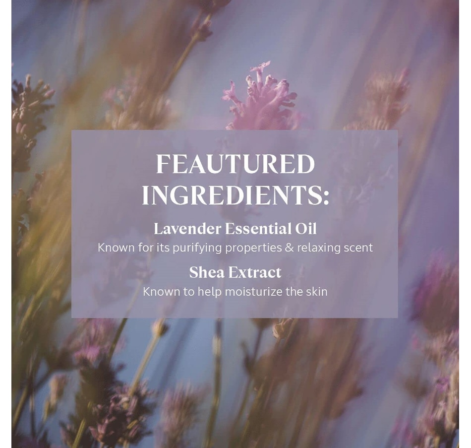 Image 465778_ALTMORE6.jpg, Product 465-778 / Price $32.00, L'Occitane Hands & Body Liquid Soap Pump from L'Occitane on TSC.ca's Beauty department