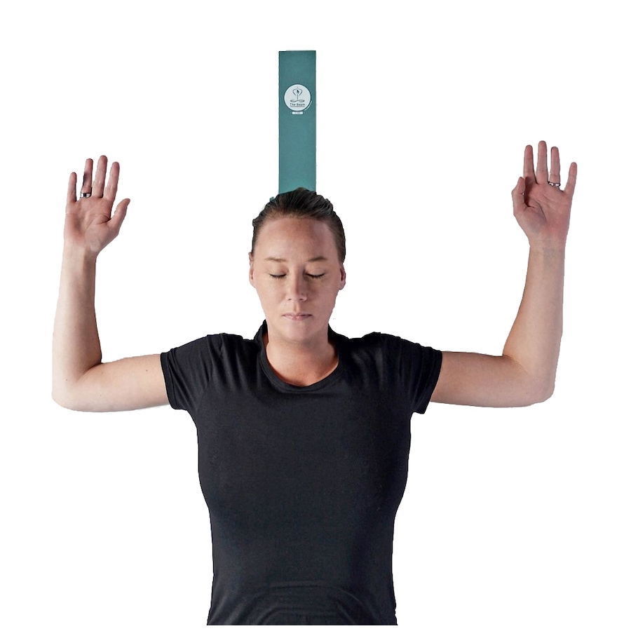 Image 480365_ALTMORE7.jpg, Product 480-365 / Price $39.95, The Beam from The Beam on TSC.ca's Health & Fitness department
