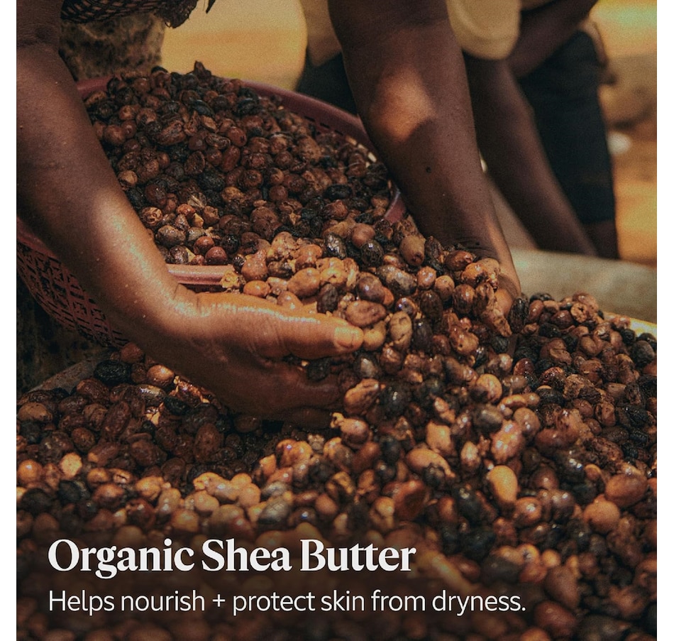 Image 480388_ALTMORE6.jpg, Product 480-388 / Price $53.00, L'Occitane 5% Shea Light Comforting Cream from L'Occitane on TSC.ca's Beauty department