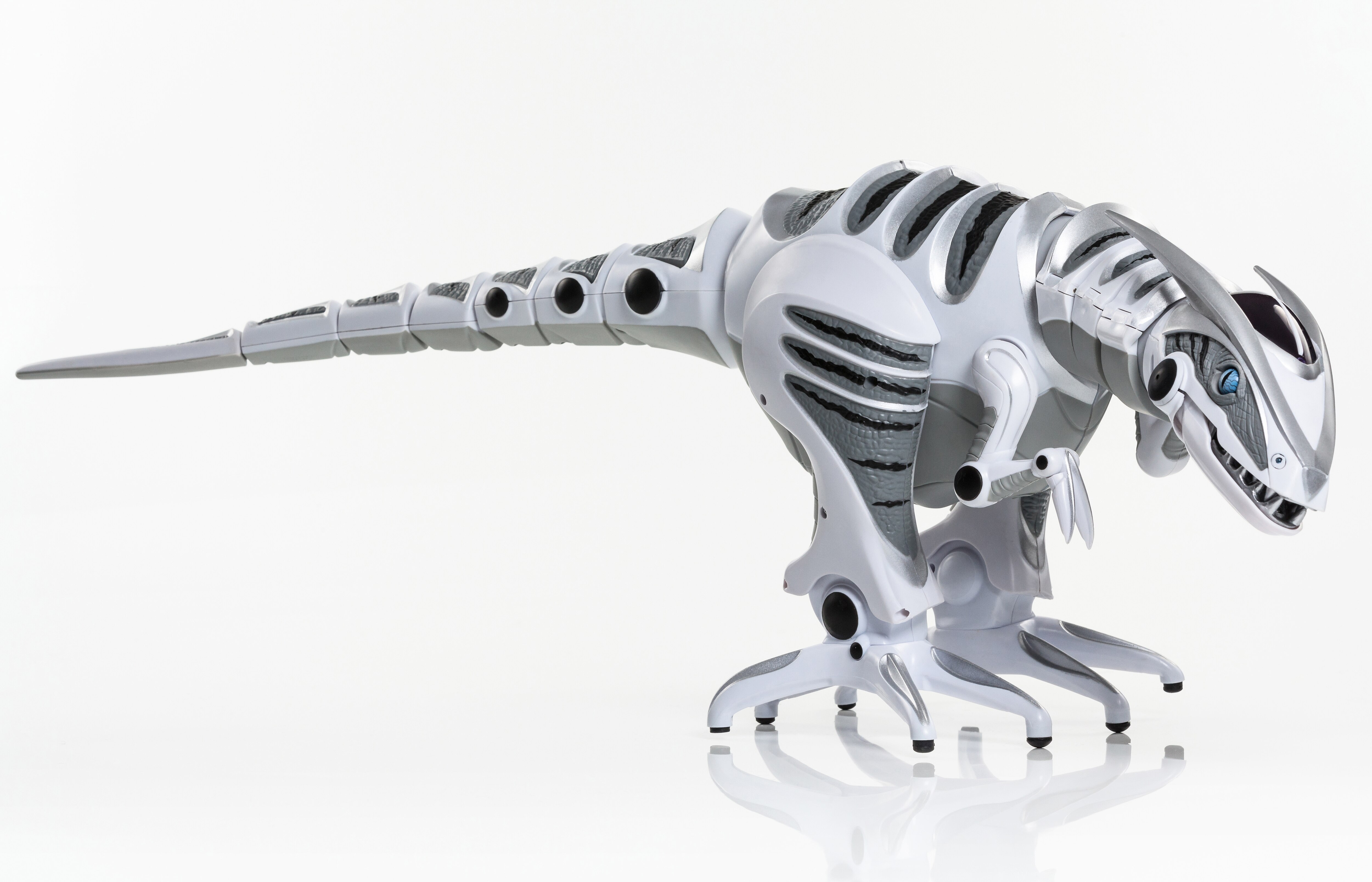 roboraptor remote