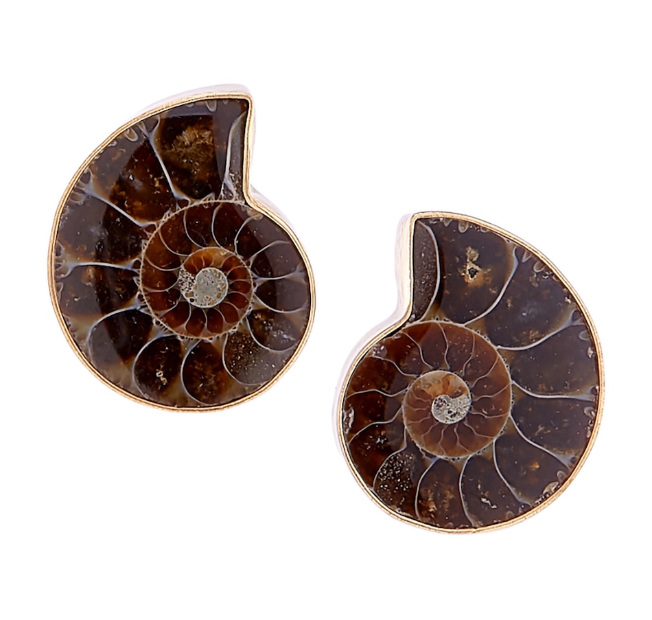 Image 485260.jpg, Product 485-260 / Price $29.33, Alchemía by Charles Albert Ammonite Post Earrings from Alchemia by Charles Albert on TSC.ca's Jewellery department