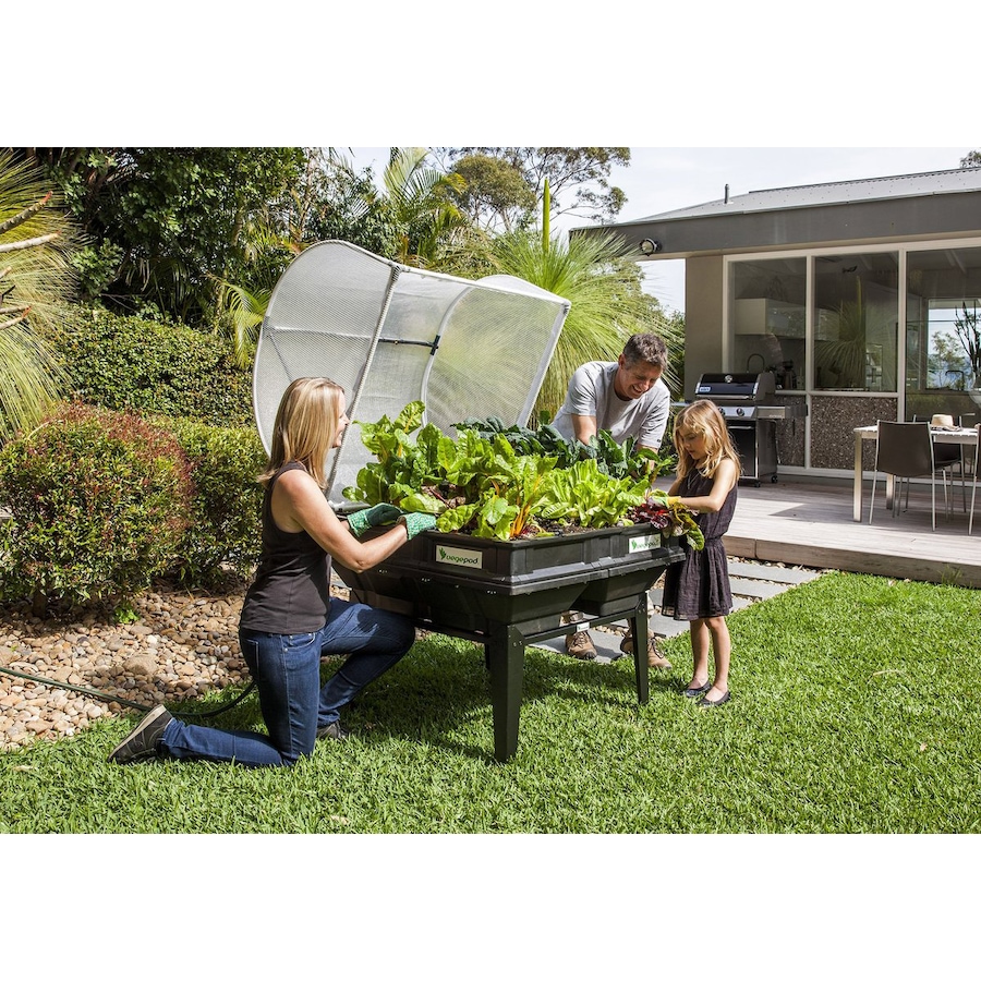 Image 486950_ALTMORE2.jpg, Product 486-950 / Price $349.99, Vegepod Medium Raised Garden Bed with Cover from Vegepod on TSC.ca's Home & Garden department
