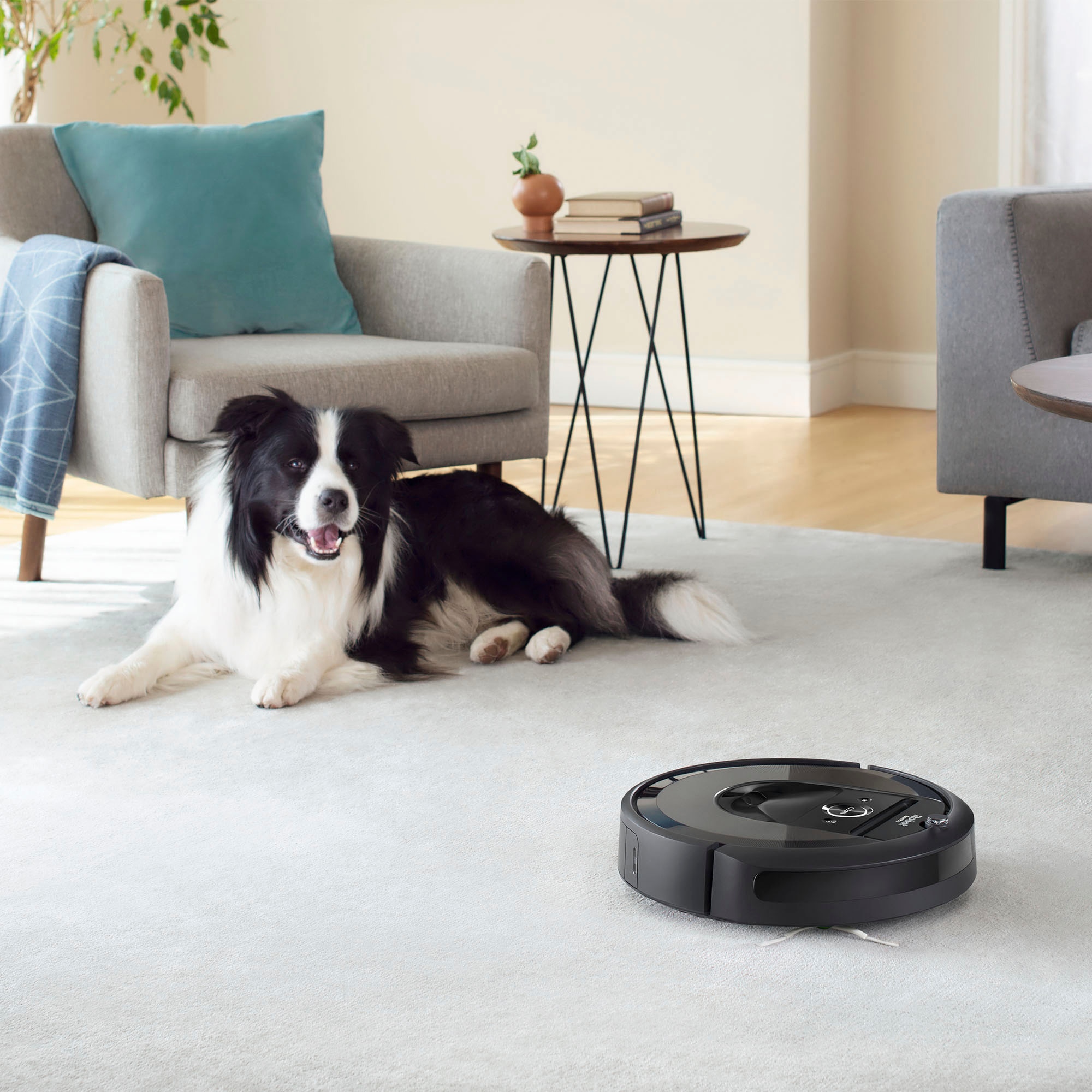 iRobot Roomba i7 and Clean Base Bundle