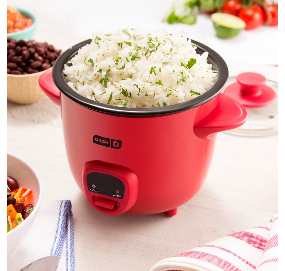 Police Auctions Canada - Dash Mini 2-Cup Rice Cooker (258729H)