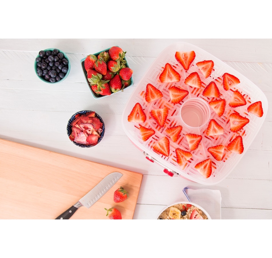 Image 505744_ALTMORE4.jpg, Product 505-744 / Price $34.88, Dash SmartStore™ Dehydrator from Dash Kitchen on TSC.ca's Kitchen department