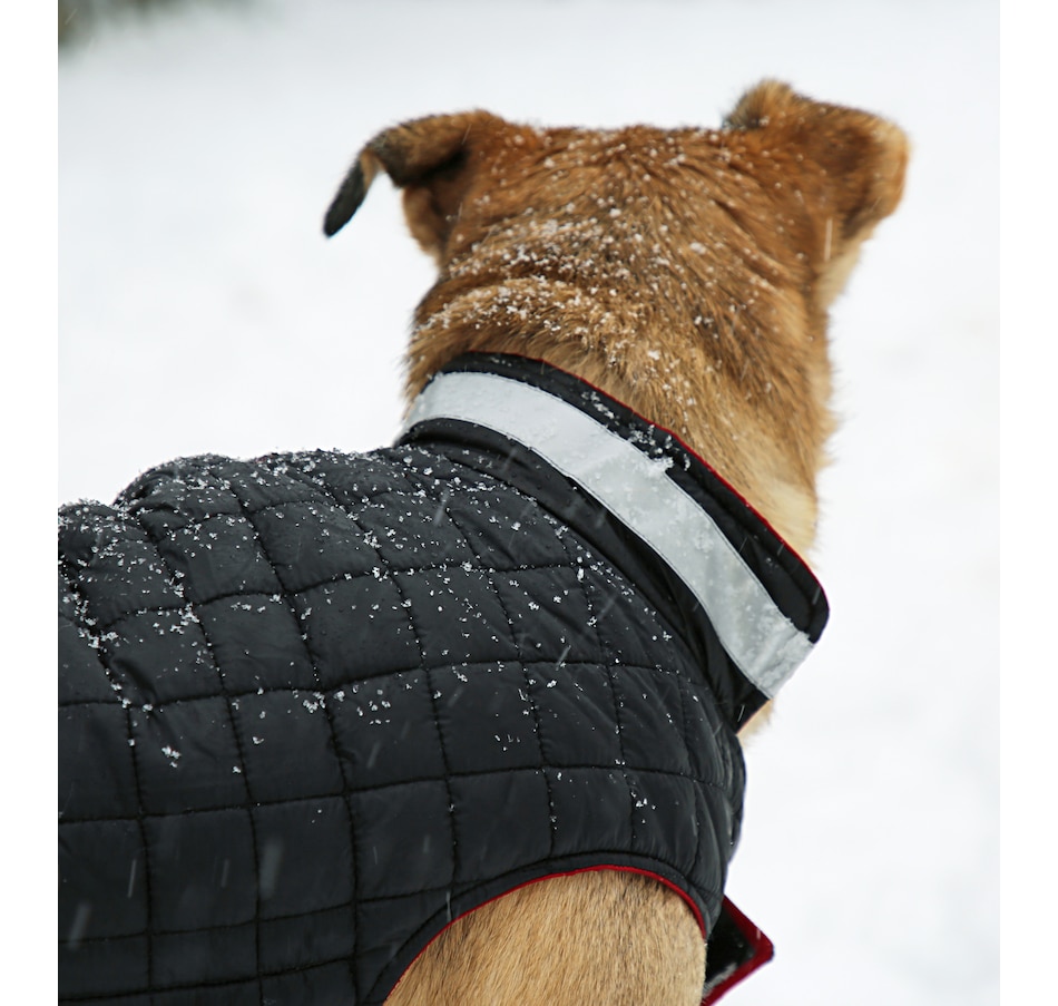 Home & Garden - Pet Boutique - Dogs - Supplies - Dog Apparel - Arctic ...