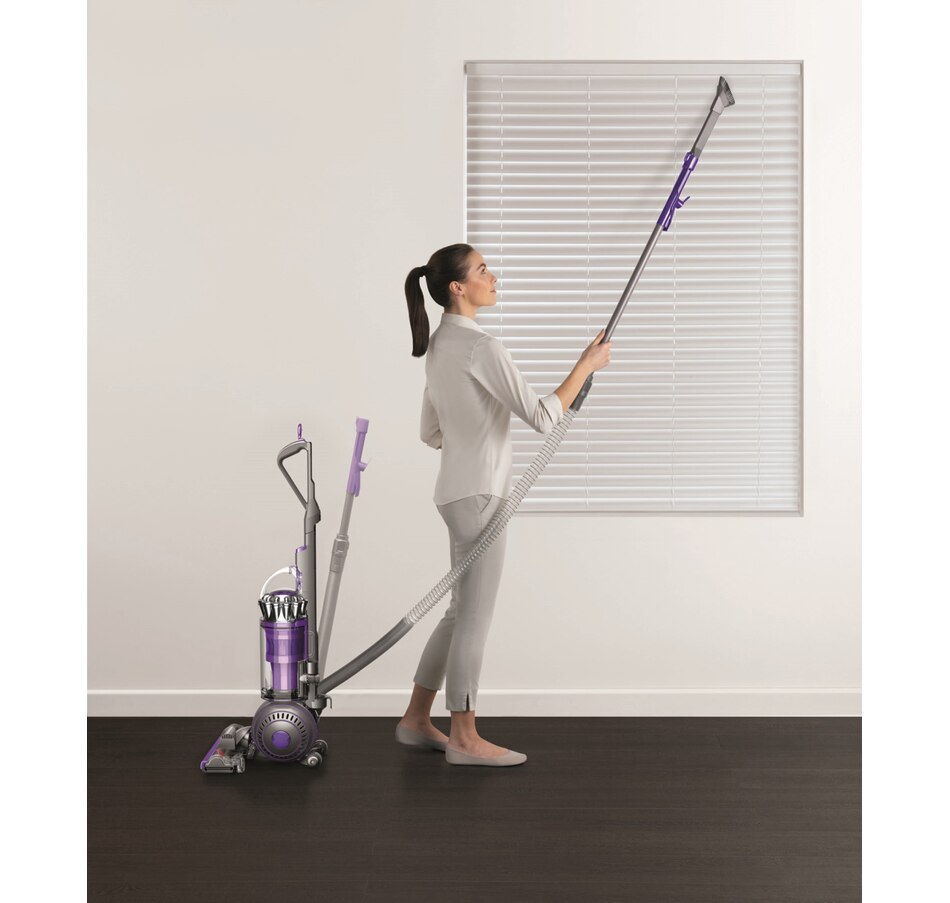 tsc.ca Dyson Ball Animal 2 Upright Vacuum