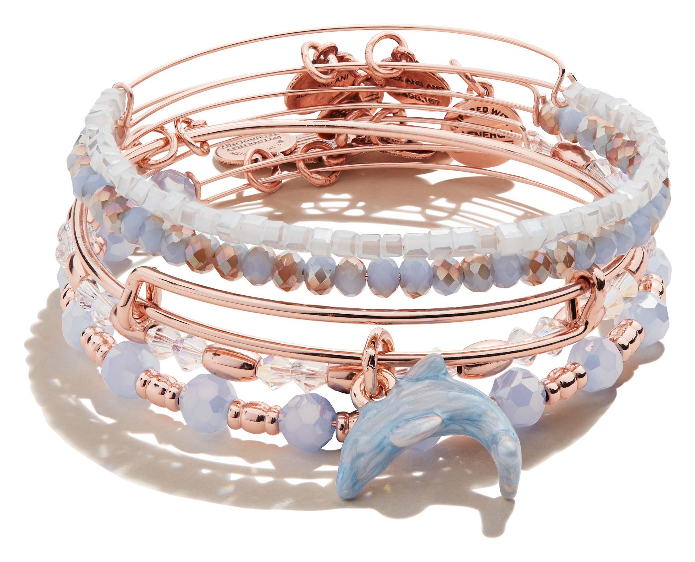 dolphin tracking bracelet