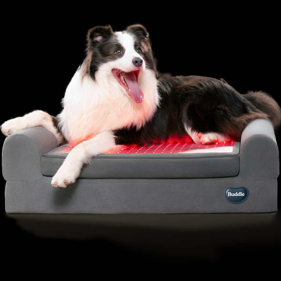 Image 600863_ALTMORE1.jpg, Product 600-863 / Price $799.99, Beddie Red Light and PEMF Therapeutic Bed for Dogs from Kala Red Light Therapy on TSC.ca's Home & Garden department