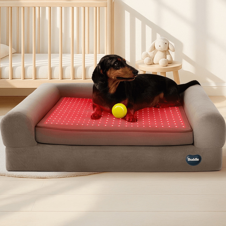 Image 600863_ALTMORE10.jpg, Product 600-863 / Price $799.99, Beddie Red Light and PEMF Therapeutic Bed for Dogs from Kala Red Light Therapy on TSC.ca's Home & Garden department