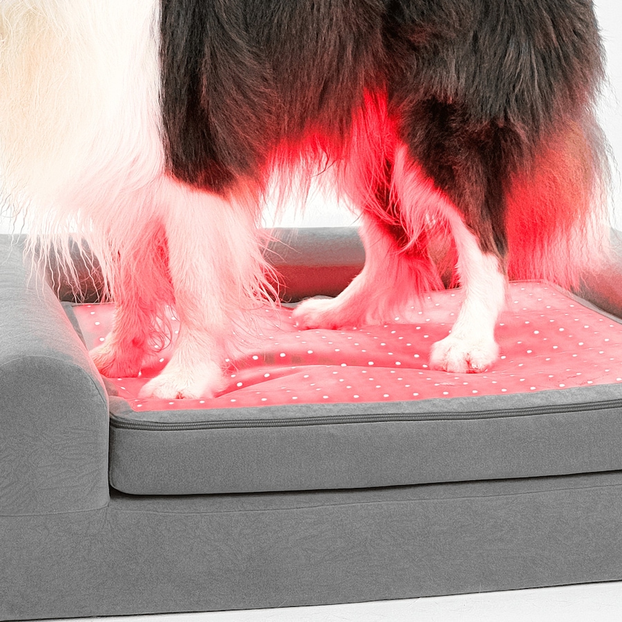 Image 600863_ALTMORE14.jpg, Product 600-863 / Price $799.99, Beddie Red Light and PEMF Therapeutic Bed for Dogs from Kala Red Light Therapy on TSC.ca's Home & Garden department