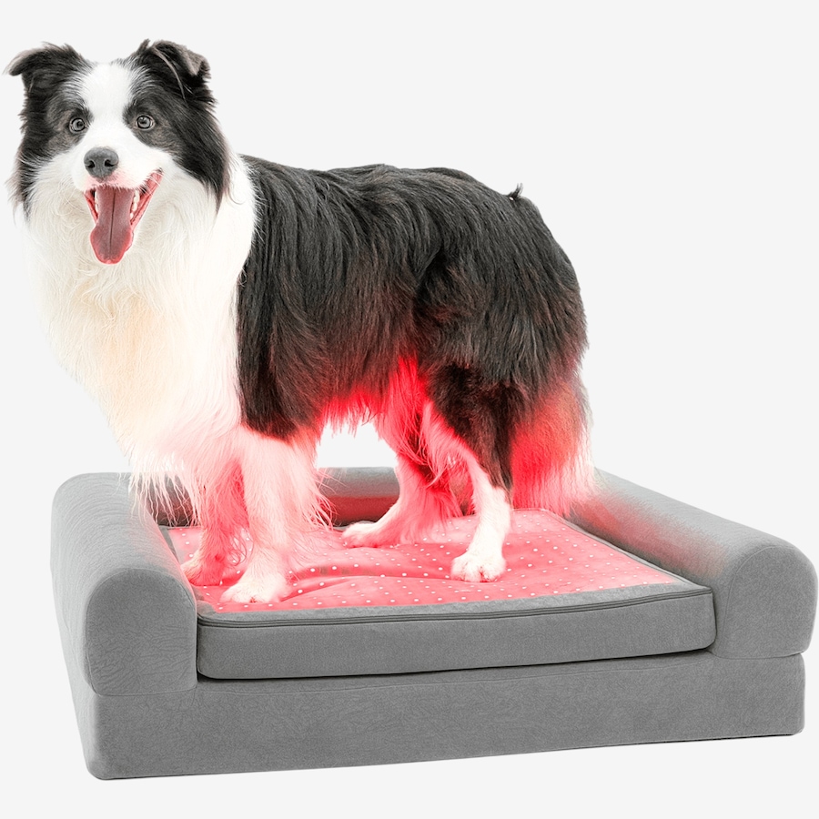 Image 600863_ALTMORE17.jpg, Product 600-863 / Price $799.99, Beddie Red Light and PEMF Therapeutic Bed for Dogs from Kala Red Light Therapy on TSC.ca's Home & Garden department