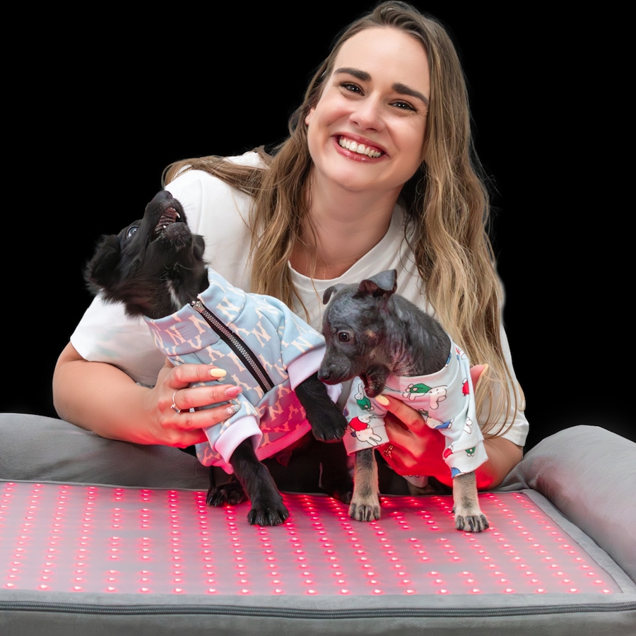 Image 600863_ALTMORE21.jpg, Product 600-863 / Price $799.99, Beddie Red Light and PEMF Therapeutic Bed for Dogs from Kala Red Light Therapy on TSC.ca's Home & Garden department