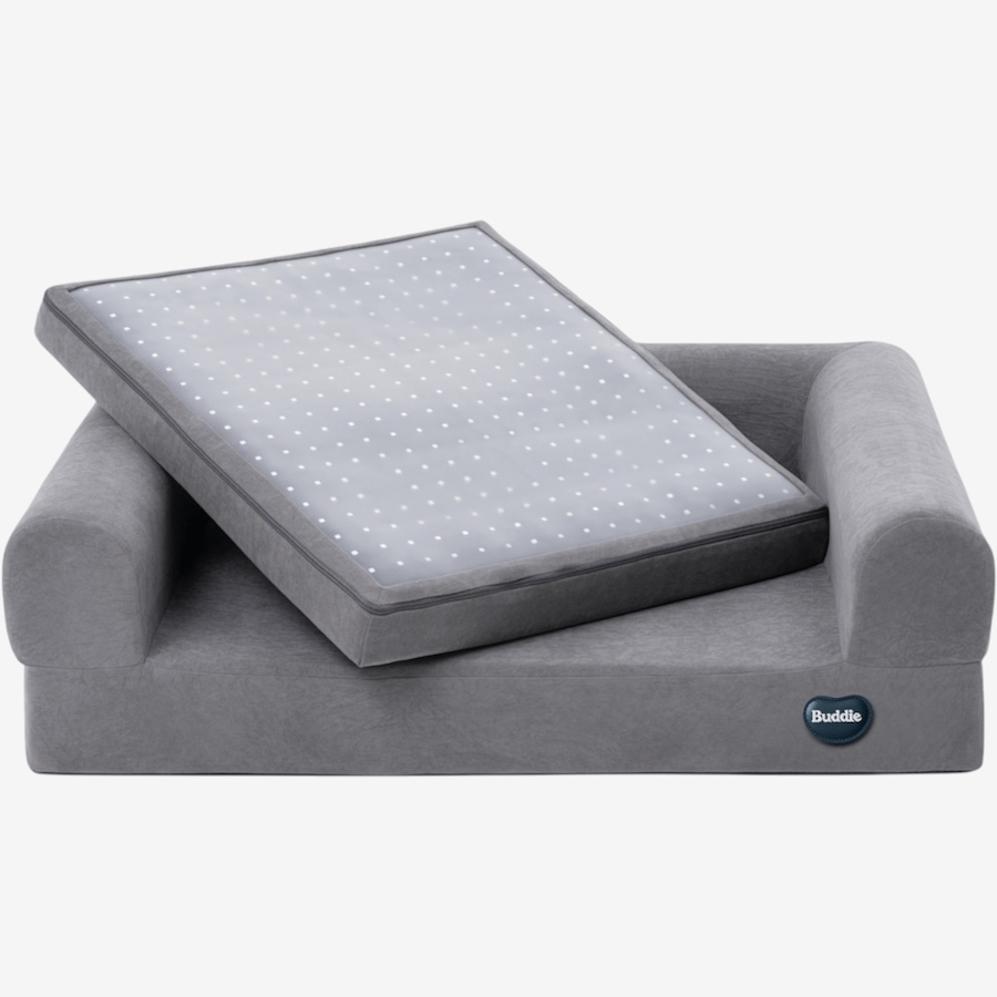 Image 600863_ALTMORE3.jpg, Product 600-863 / Price $799.99, Beddie Red Light and PEMF Therapeutic Bed for Dogs from Kala Red Light Therapy on TSC.ca's Home & Garden department
