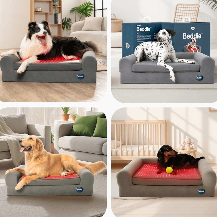 Image 600863_ALTMORE5.jpg, Product 600-863 / Price $799.99, Beddie Red Light and PEMF Therapeutic Bed for Dogs from Kala Red Light Therapy on TSC.ca's Home & Garden department
