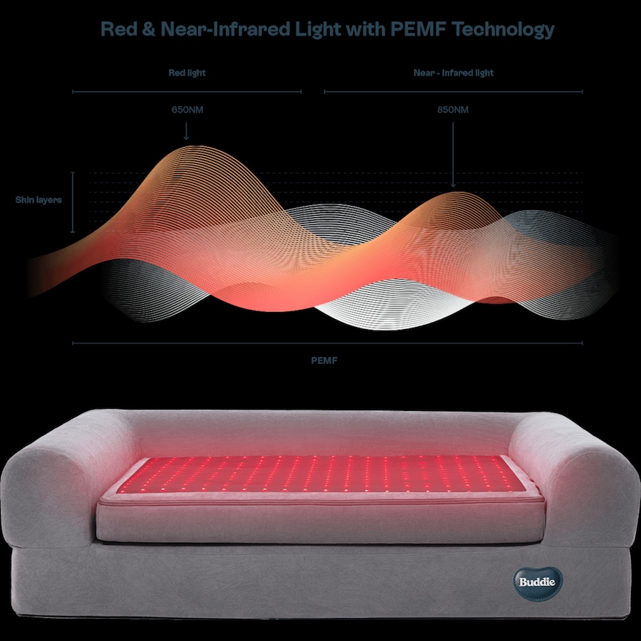 Image 600863_ALTMORE7.jpg, Product 600-863 / Price $799.99, Beddie Red Light and PEMF Therapeutic Bed for Dogs from Kala Red Light Therapy on TSC.ca's Home & Garden department