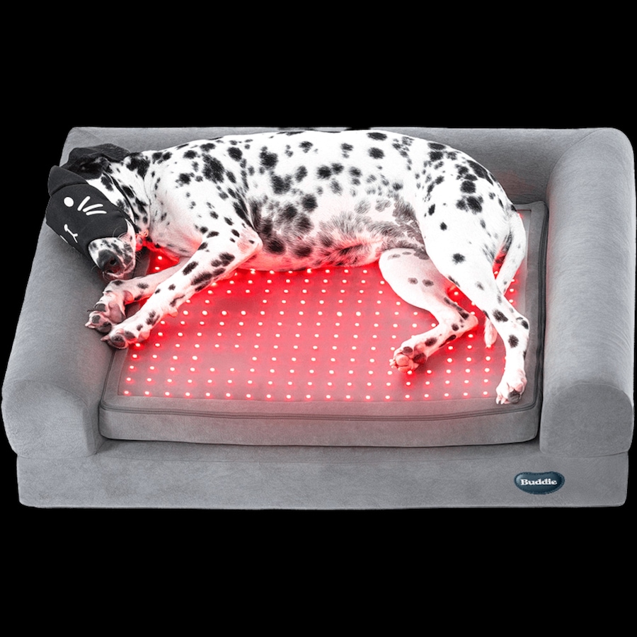 Image 600863_ALTMORE9.jpg, Product 600-863 / Price $799.99, Beddie Red Light and PEMF Therapeutic Bed for Dogs from Kala Red Light Therapy on TSC.ca's Home & Garden department